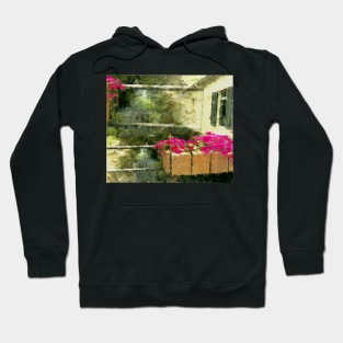 Flowers on a little pont in La Collobières, south of France Hoodie